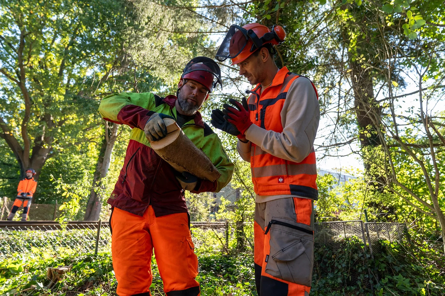 rundum baum GmbH - Baumpflege - Zwei Forstarbeiter in Warnwesten und Schutzhelmen begutachten einen gefällten Baumstamm im Freien.